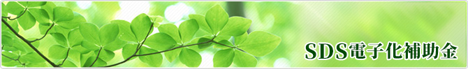 SDS電子化補助金